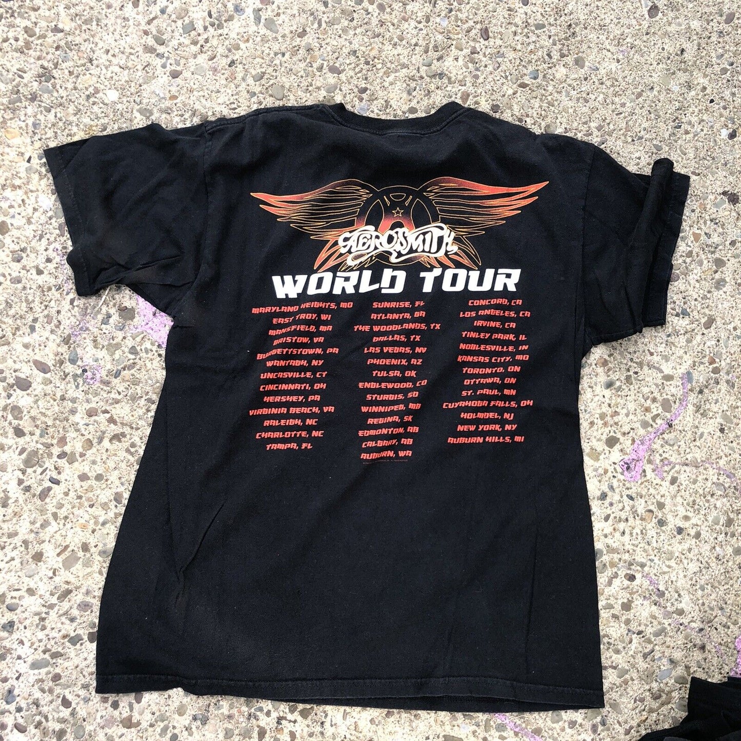 Aerosmith Steven Tyler World Tour Concert Graphic T-Shirt Tee 2009 Sz Large